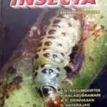 Insecta An Introduction