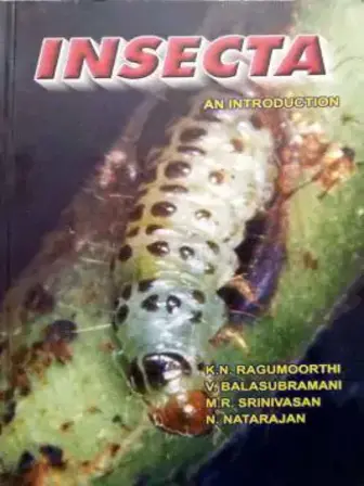 Insecta An Introduction