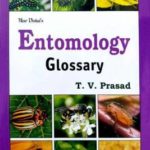 Entomology Glossary