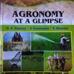 Agronomy At A Glimpse