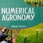 Numerical Agronomy