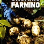 Practical Manual on Organic Farming