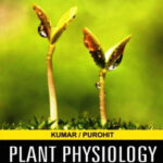 Plant Physiology Fundamentals And Applications