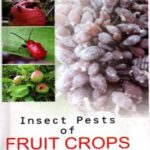 Insect Pests of Fruit Crops