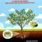 Objective Plant Physiology