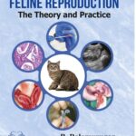 Feline Reproduction The Theory and Practice
