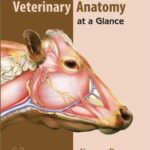 Veterinary Anatomy at a Glance
