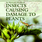 An Illustrated Handbook: Insects Causing Damage to Plants