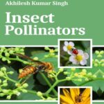 Insect Pollinators