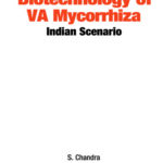 Biotechnology of VA Mycorrhizza: Indian Scenario