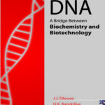 DNA: A Bridge Between Biochemistry and Biotechnology