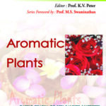 Aromatic Plants