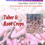 Tuber and Root Crops