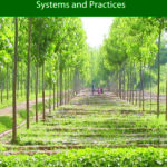 Agroforestry: Systems and Practices