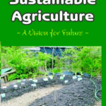 Sustainable Agriculture: A Vision for Future