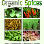 Organic Spices
