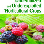 Underutilized and Underexploited Horticultural Crops: Vol 03