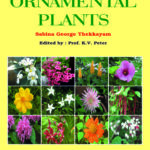 Ornamental Plants