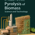 Pyrolysis of Biomass: Science and Technology