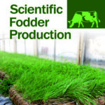 Scientific Fodder Production