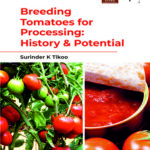 Breeding Tomatoes for Processing: History & Potential