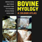 Bovine Myology: A Colour Atlas