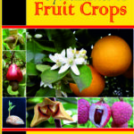 Systematics of Fruit Crops (Fully Illustrated)