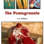 The Pomegranate