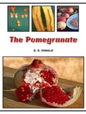 The Pomegranate