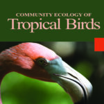 Community Ecology of Tropical Birds