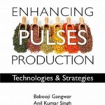 Enhancing Pulses Production: Technologies and Strategies