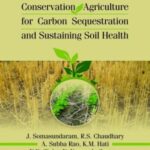 Conservation Agriculture for Carbon Sequestration and Sustaining Soil Health