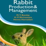 Rabbit Production and Management