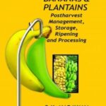 Bananas and Plantains: Postharvest Management,Storage,Ripening and Processing