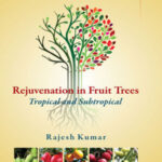 Rejuvenation in Fruit Trees: Tropical Subtropical