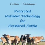 Protected Nutrient Technology for Crossbred Cattle