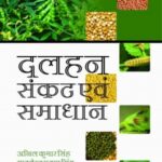 Pulses: Problems and Solutions