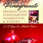 Pomegranate : Production Postharvest Marketing and Export