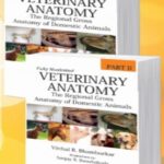 Veterinary Anatomy: The Regional Gross Anatomy of Domestic Animals (Completes in 2 Parts)