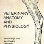 Veterinary Anatomy and Physiology