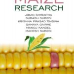 Maize Research