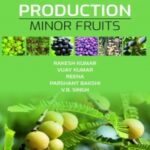 Fruit Production: Minor Fruits