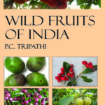 Wild Fruits of India