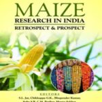 Maize Research in India