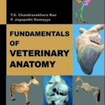 Fundamentals of Veterinary Anatomy