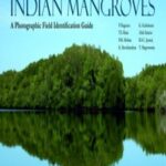 Indian Mangroves: A Photographic Field Identification Guide