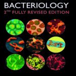 Veterinary Bacteriology : 2nd Fully Revised and Enlarged Edition