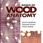 Basics of Wood Anatomy