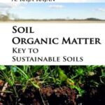 Soil Organic Matter: Key to Sustainable Soils