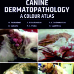 Canine Dermatopathology: A Colour Atlas